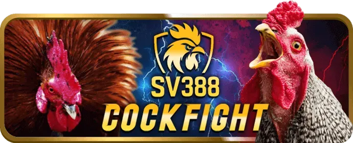 Tiền thưởng chào mừng lớn dành cho người chơi mới tại g666win thể thao
